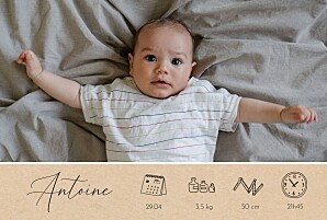 Faire-part de naissance le collectif calligraphie pictos (paysage) beige Faire-part de naissance le collectif calligraphie pictos (paysage) beige