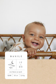 Faire-part de naissance Étiquette illustrée beige