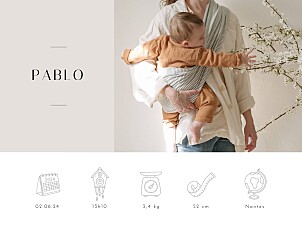 Affichette original pictos graphiques (paysage) beige Affichette original pictos graphiques (paysage) beige