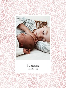 Affichette rose harmonie rose Affichette rose harmonie rose