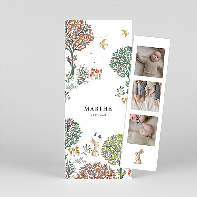 Faire-part de naissance blanc histoire du jardin (marque-page) blanc Faire-part de naissance blanc histoire du jardin (marque-page) blanc