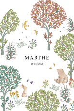Faire-part de naissance Histoire du jardin (arche) blanc