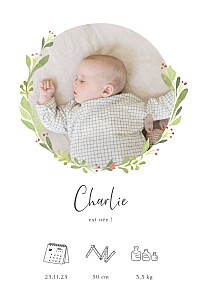 Faire-part de naissance le collectif cueillette (portrait) blanc Faire-part de naissance le collectif cueillette (portrait) blanc