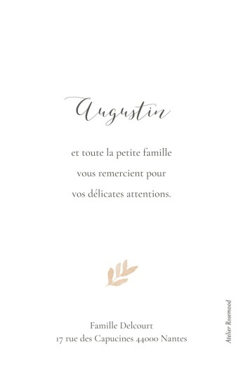 Carte de remerciement Petits brins pêche - Verso Carte de remerciement Petits brins pêche - Verso