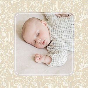 Faire-part de naissance motifs promenade beige Faire-part de naissance motifs promenade beige