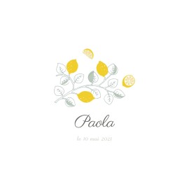Faire-part de naissance Citrons photo jaune
