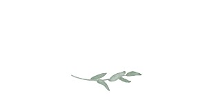 Marque-place mariage vert couronne d'eucalyptus vert Marque-place mariage vert couronne d'eucalyptus vert