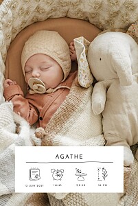 Faire-part de naissance le collectif cartouche pictos (portrait) blanc Faire-part de naissance le collectif cartouche pictos (portrait) blanc