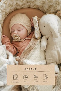 Faire-part de naissance beige cartouche pictos (portrait) beige Faire-part de naissance beige cartouche pictos (portrait) beige