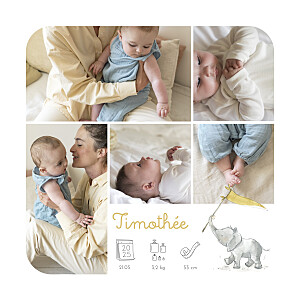 Faire-part de naissance original petit éléphant pictos blanc Faire-part de naissance original petit éléphant pictos blanc