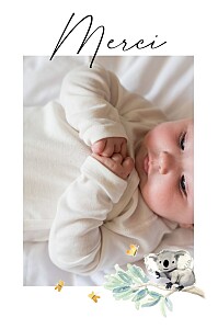 Carte de remerciement blanc petit koala pictos (portrait) blanc Carte de remerciement blanc petit koala pictos (portrait) blanc