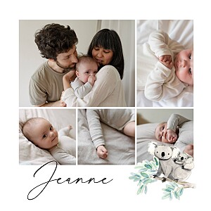 Faire-part de naissance original petit koala pictos blanc Faire-part de naissance original petit koala pictos blanc