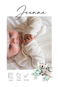 Faire-part de naissance petit koala pictos (portrait) blanc Faire-part de naissance petit koala pictos (portrait) blanc