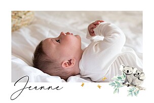 Faire-part de naissance pictogramme petit koala pictos (paysage) blanc Faire-part de naissance pictogramme petit koala pictos (paysage) blanc