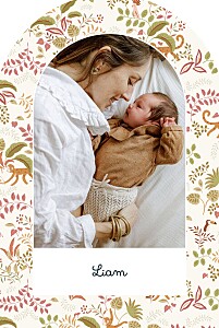 Faire-part de naissance original petit ouistiti (arche) rose Faire-part de naissance original petit ouistiti (arche) rose