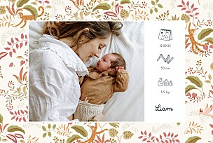 Faire-part de naissance rose petit ouistiti (paysage) rose Faire-part de naissance rose petit ouistiti (paysage) rose