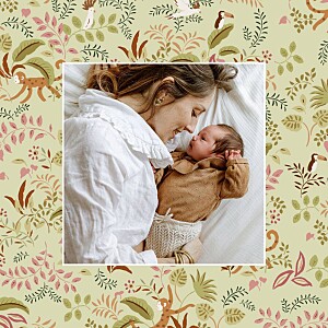 Faire-part de naissance vert petit ouistiti vert Faire-part de naissance vert petit ouistiti vert