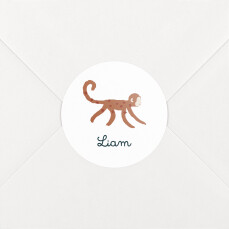 Stickers pour enveloppes naissance Petit ouistiti blanc